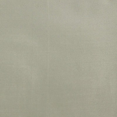 Scalamandre Dynasty Taffeta Celadon BELLE JARDIN COLLECTION SC 002736383 Green Multipurpose SILK SILK Silk Taffeta  Fabric