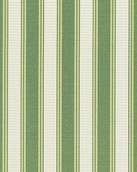 Shirred Stripe Bonsai by   