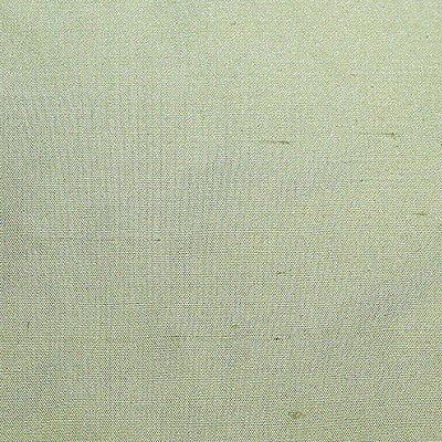 Scalamandre Dynasty Taffeta Kiwi BELLE JARDIN COLLECTION SC 003136383 Green Multipurpose SILK SILK Silk Taffeta  Fabric