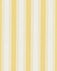 Shirred Stripe Sunray by   