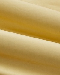 Olympia Silk Taffeta Gold Dust by  Scalamandre 