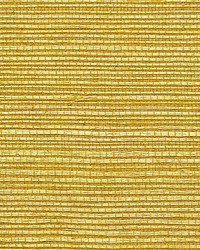 Sisal Brass by   