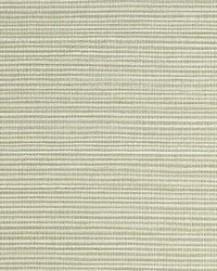 Savanna Seedling Seagrass by  Scalamandre Wallcoverings 