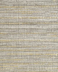 Feather Reed Ash by  Scalamandre Wallcoverings 