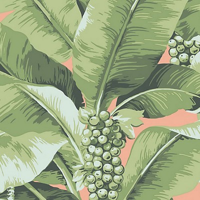 Scalamandre Wallcoverings Paradisio Palm Aruba Multi Daisy Bennett Anthology Resource SC 0124DISO Green  Tropical Wallpaper 