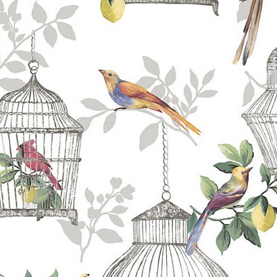 Scalamandre Wallcoverings Audubon Songbirds On White Daisy Bennett Anthology Resource SC 1900AUDU White  Animals Bird and Butterfly Wallpapers Leaves Trees and Vines Wallpaper Novelty Prints 