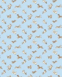 Fete De Chien Light Blue And Suede by   