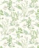 Scalamandre Wallcoverings GARPARILLA | VINYL II SEAWEED