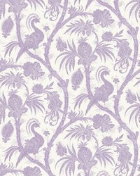 Balinese Peacock Lavender by   