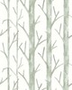 Scalamandre Wallcoverings EVERETT | VINYL II EVERGREEN