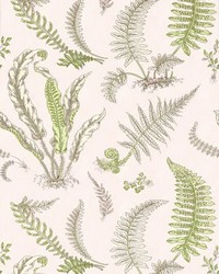 Elsie De Wolfe Wallcovering Ballet Slipper by   