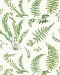 Elsie De Wolfe Wallcovering Fern by   