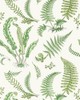 Scalamandre Wallcoverings ELSIE DE WOLFE WALLCOVERING FERN
