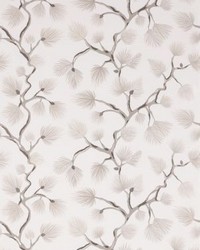 Pignoli Wallcovering Snow by   