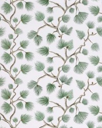 Pignoli Wallcovering Fern by   