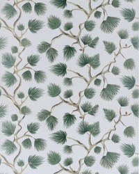 Pignoli Wallcovering Evergreen by   