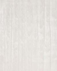 Ardesia Froth by  Scalamandre Wallcoverings 