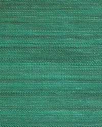 Criollo Horsehair Green by   