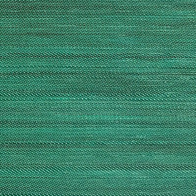 Old World Weavers Criollo Horsehair Green HORSEHAIR CHAPTERS SK 00140230 Green Upholstery HORSEHAIR  Blend