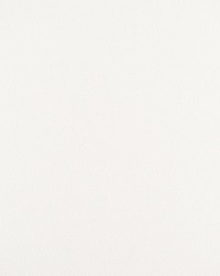 Cortez Point Pelican Cortez Point Pelican by