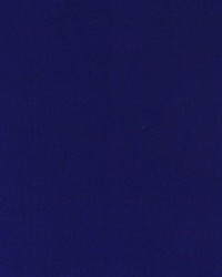 Pacific Silk Blackberry by   