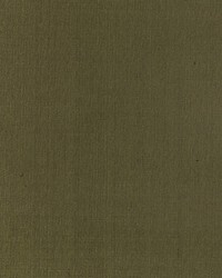 Pacific Silk Poplar by   