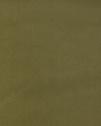 Pacific Silk Moss by   