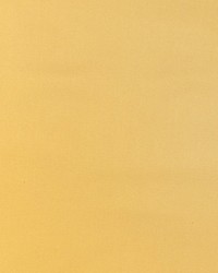 Pacific Silk Maize by   