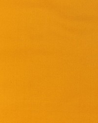 Pacific Silk Marigold by   