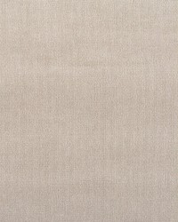 Glamour Velvet Taupe by   