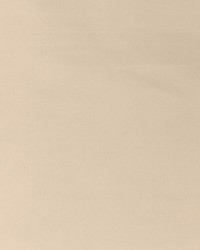 Pacific Silk Pelican by   