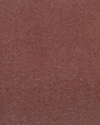 Majestic Mohair Petal by   