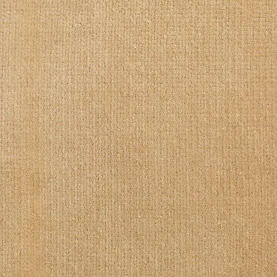 Old World Weavers Linley Sonoma ESSENTIAL VELVETS VP 44231002 Upholstery COTTON COTTON Solid Velvet  Fabric