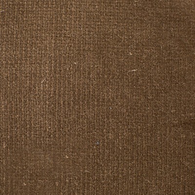 Old World Weavers Linley Puce ESSENTIAL VELVETS VP 47491002 Upholstery COTTON COTTON Solid Velvet  Fabric