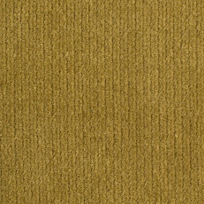 Old World Weavers Linley Dijon ESSENTIAL VELVETS VP 62301002 Yellow Upholstery COTTON COTTON Solid Velvet  Fabric