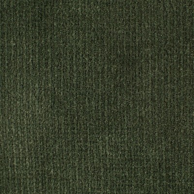 Old World Weavers Linley Black Olive ESSENTIAL VELVETS VP 69201002 Green Upholstery COTTON COTTON Solid Velvet  Fabric