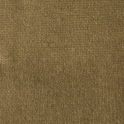 Old World Weavers Linley Oregano ESSENTIAL VELVETS VP 73111002 Upholstery COTTON COTTON Solid Velvet  Fabric