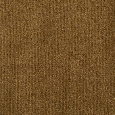 Old World Weavers Linley Raw Umber ESSENTIAL VELVETS VP 73131002 Upholstery COTTON COTTON Solid Velvet  Fabric