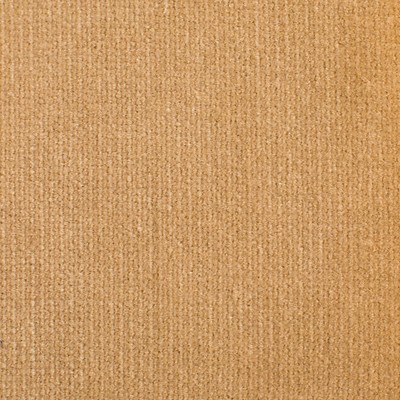 Old World Weavers Linley Golden Sand ESSENTIAL VELVETS VP 74001002 Gold Upholstery COTTON COTTON Solid Velvet  Fabric