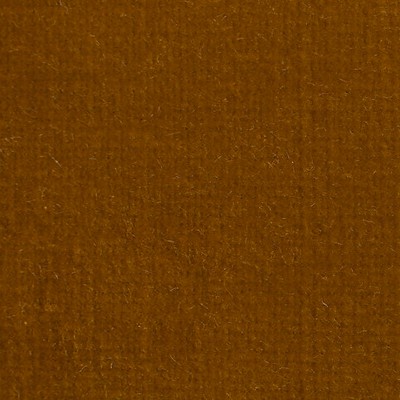 Old World Weavers Linley Autumn Gold ESSENTIAL VELVETS VP 75051002 Gold Upholstery COTTON COTTON Solid Velvet  Fabric