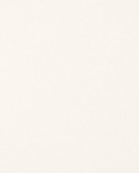 Solstice Velvet Snow by  Scalamandre 