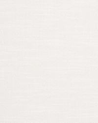 Neoma Horizon by  Scalamandre 