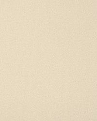 Solstice Velvet Fog by  Scalamandre 