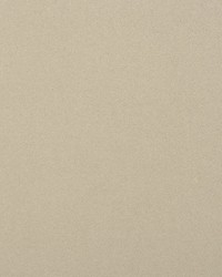 Solstice Velvet Pebble by  Scalamandre 