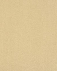 Solstice Velvet Sand by  Scalamandre 