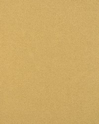 Solstice Velvet Wheat by  Scalamandre 