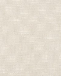 Neoma Shore by  Scalamandre 