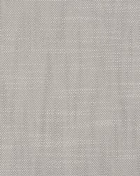 Neoma Silver by  Scalamandre 