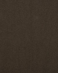 Solstice Velvet Espresso by  Scalamandre 