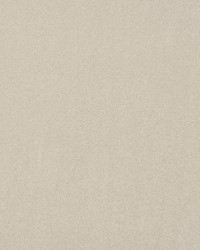 Solstice Velvet Stone by  Scalamandre 